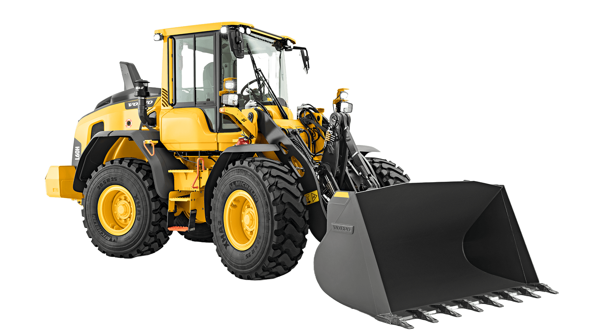 Gummiged 12 - 13 T (begrænset antal - kun i udvalgte afd.)*