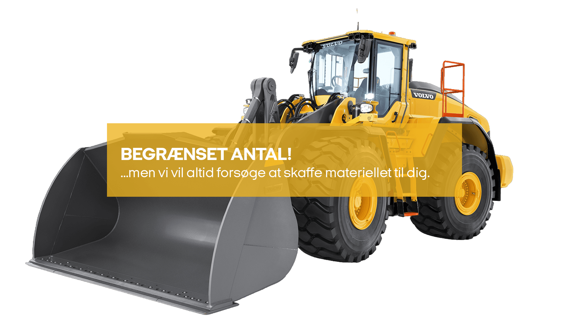 Gummiged 27-29T (begrænset antal - kun i udvalgte afd.)*