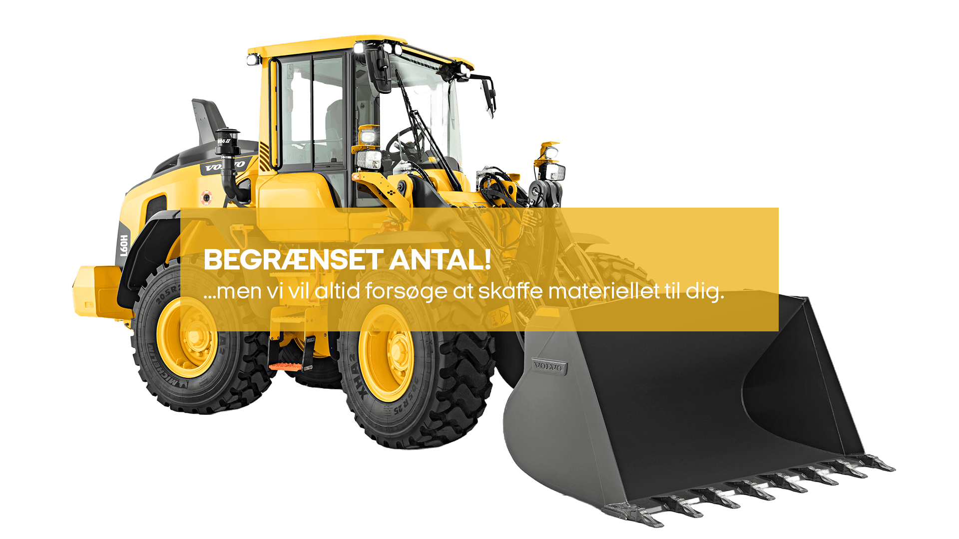 Gummiged 12 - 13 T (begrænset antal - kun i udvalgte afd.)*